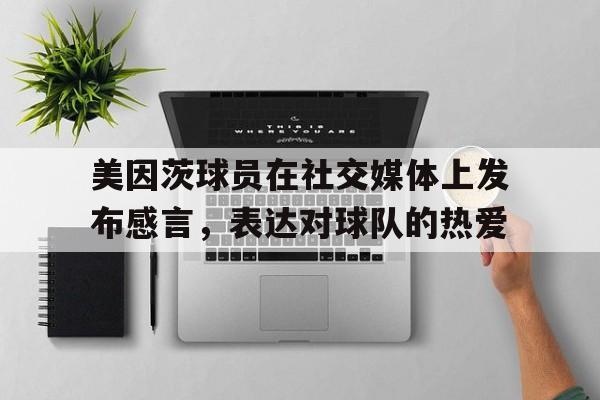 美因茨球队介绍 美因茨球队介绍